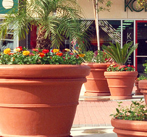 5-shopping-center-resin-planters-300x280